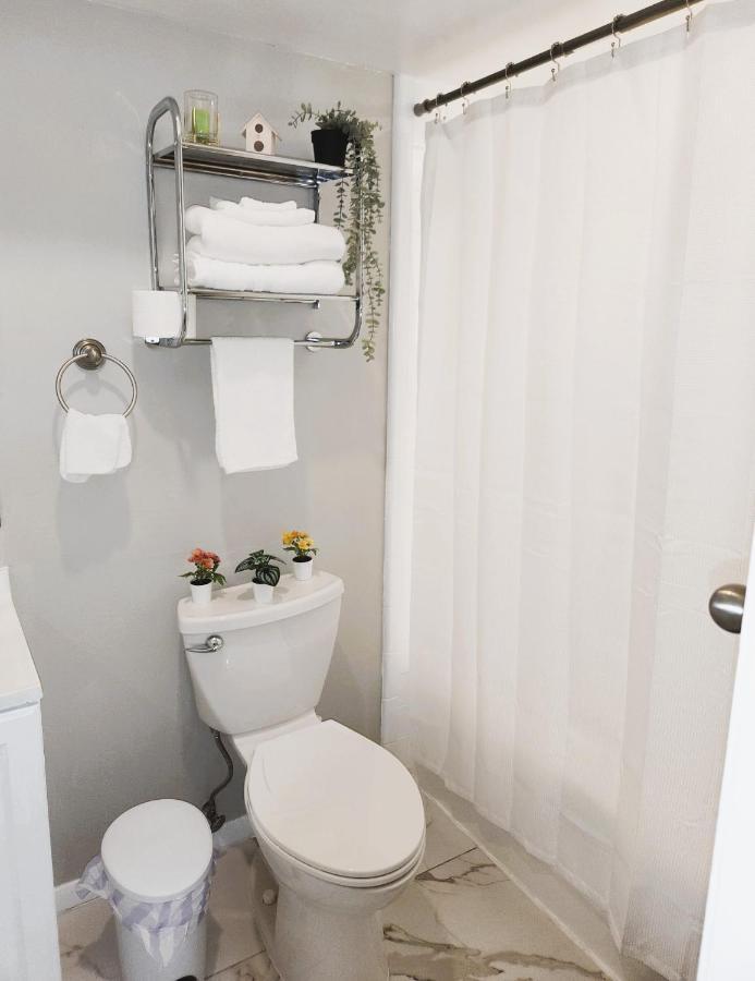 Adorable Mini Suite In Tampa Esterno foto
