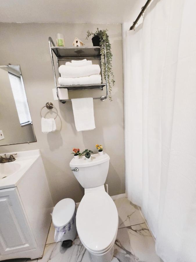 Adorable Mini Suite In Tampa Esterno foto